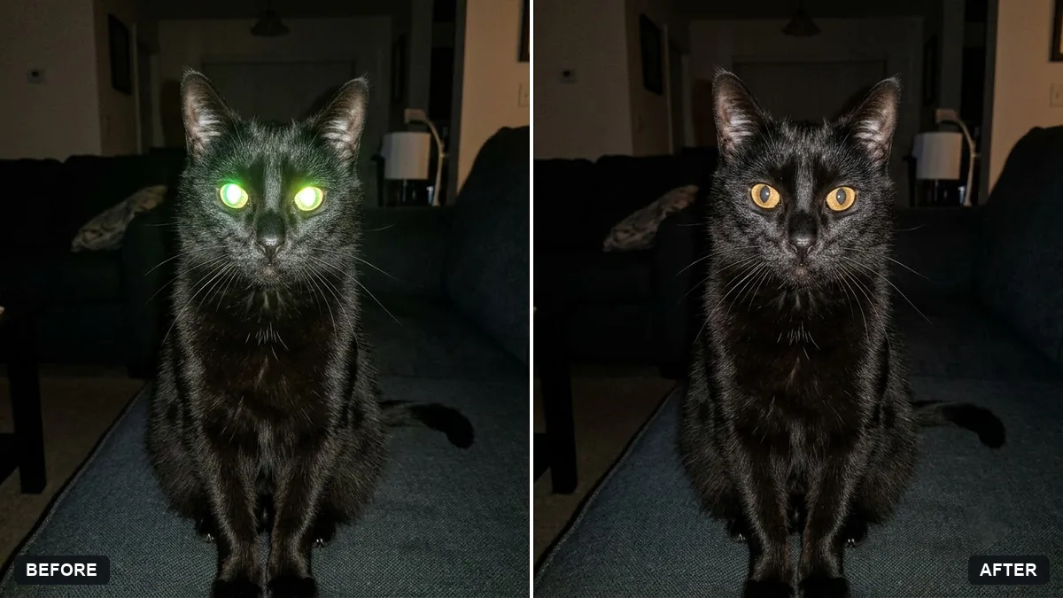 Before and after example: Fix glowing eyes in pet flash photos