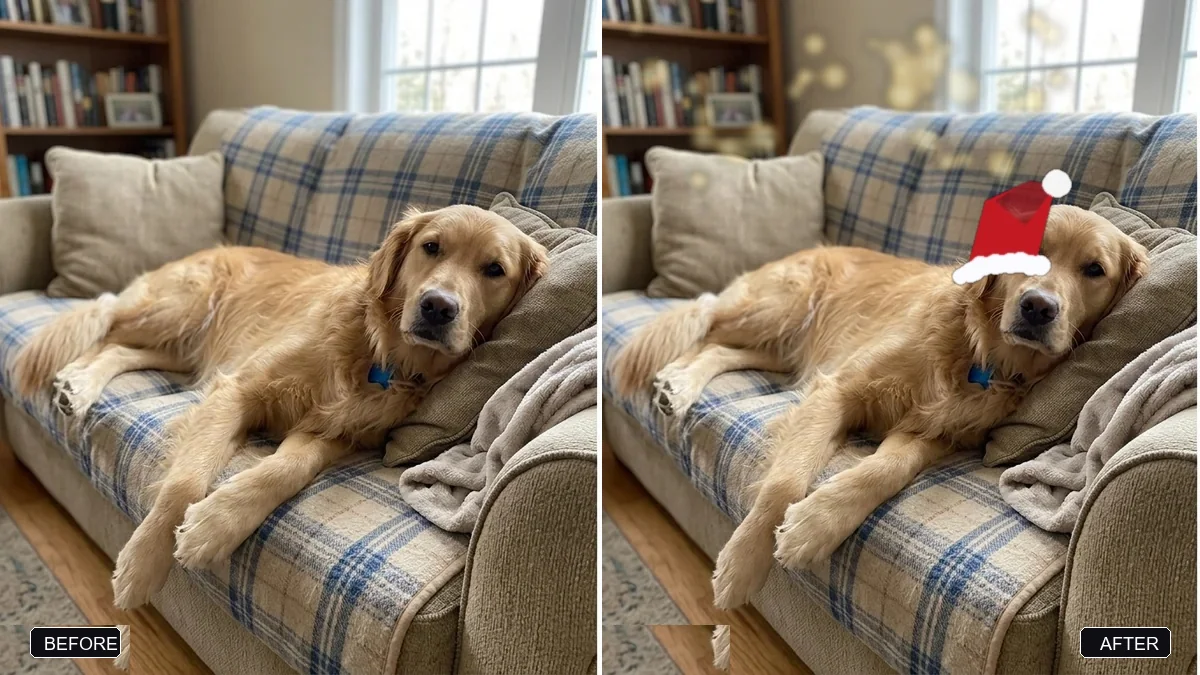 Before and after example: Dress your pet for the holidays